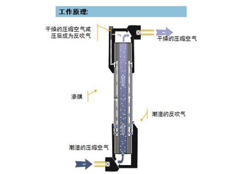 滲膜式干燥器工作原理